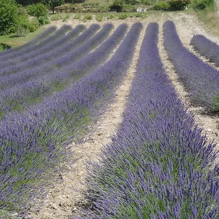 Gite Le Bouquet * Chatillon-en-Diois